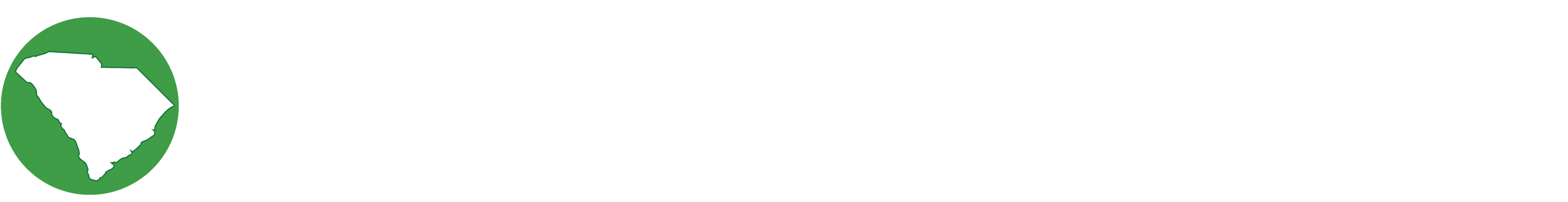 South Carolina Department of Revenue